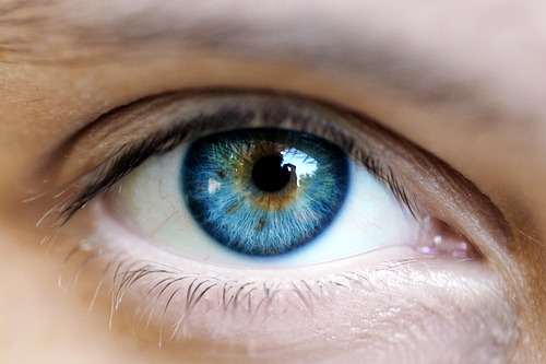 The Human Eye is 576 Mega Pixel!