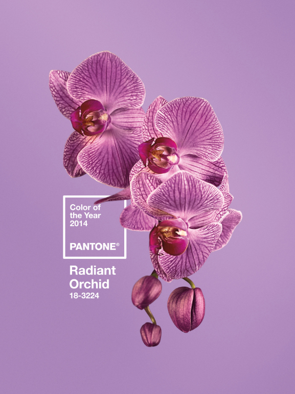Pantone 18-3224 Colour of the year